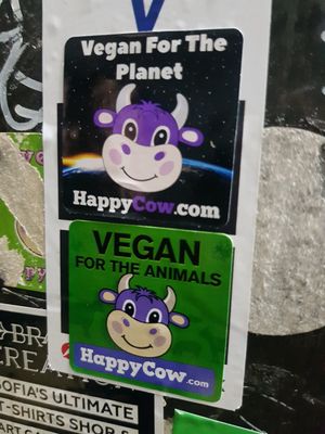  at Dream House in Sofia