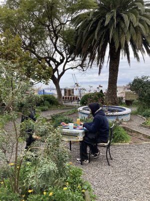 Lovely garden   at Veggie Beer House in Valparaiso
