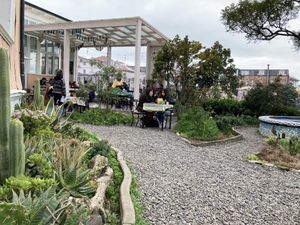 The garden  at Veggie Beer House in Valparaiso