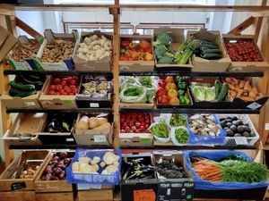 Organic veg & fruit & mushrooms at Single Step Wholefoods in Lancaster