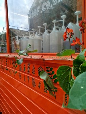 zero waste refill laundry, shampoo,washing up, cleaning products and many more at Single Step Wholefoods in Lancaster