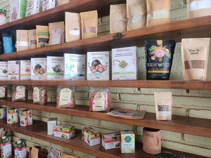  at La Colmena in Mazunte