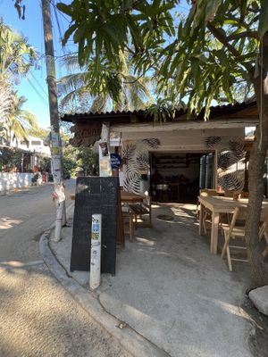   at La Colmena in Mazunte