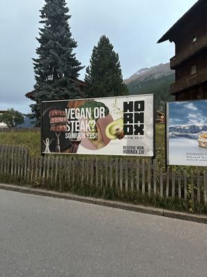 Intriging billboard  at Hornox in Zermatt