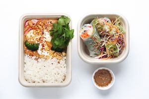 Massaman Curry, Jasmine Rice & Pad Thai Summer Roll
 at DAD Daily Meal Delivery in London