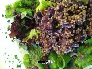 QUINOA and GREEN SALAD at V.O.P. - Very Organic People in Santiago