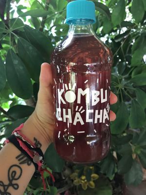 Kombuchacha Arandano at V.O.P. - Very Organic People in Santiago