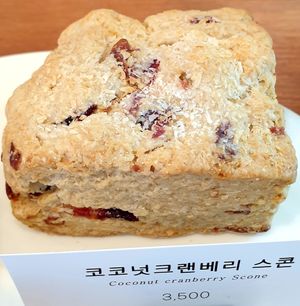 coconut cranberry at Vegan Ire in Seoul