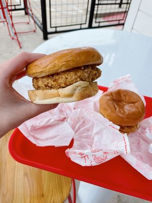   at Project Pollo in Dallas