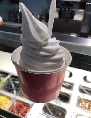 Large coconut milk coconut   at Pinkberry in Glendale