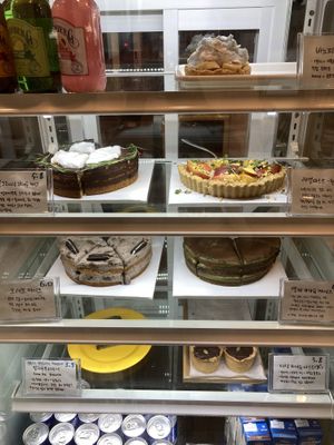   at Fall in the Pool in Daejeon