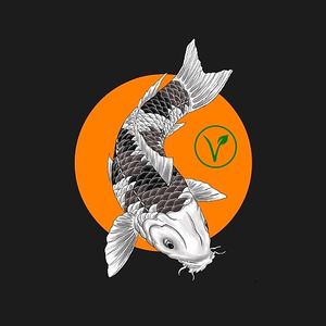   at Umami Sushi Vegan  in Playa Del Carmen