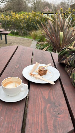   at Benugo in North London