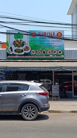  at Vegetarian in the Golden Age in Vientiane