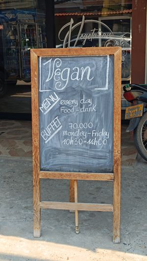  at Vegetarian in the Golden Age in Vientiane