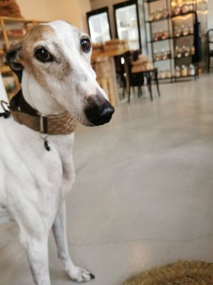 Ella es Lola.
Lola es la jefaza!!  at Lo Que Diga Lola in Coslada