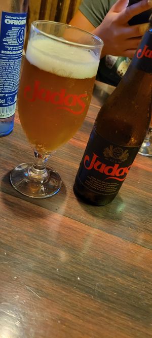 Good flavored beer. at The Irish Temple - Ibiza in Madrid