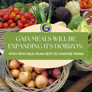  at Gaia Healing Meals in Quezon City
