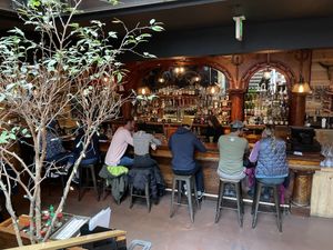   at Wood Ear in Telluride