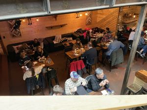   at Wood Ear in Telluride