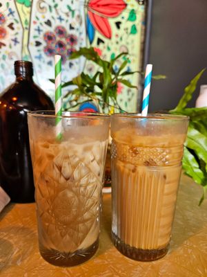 Waikiki and Pink Princess at Bury Me Standing in Cairns