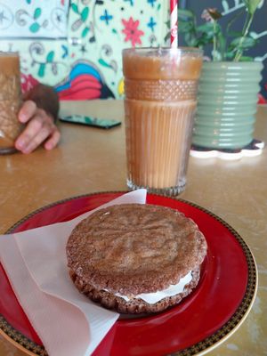  at Bury Me Standing in Cairns