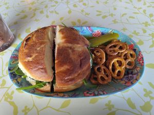 Bagel the lot at Bury Me Standing in Cairns