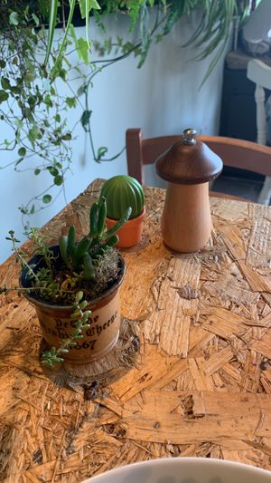   at Planted in Falmouth