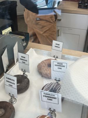 Vegan Doughnuts   at Knead Doughnuts in Westerly