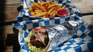 Vegan gyro sandwich (falafel pita) and fries with oregano. From Gyros 2 Go food truck. at Celebration Park Naples in Naples