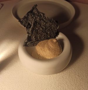 Tapa para empezar at MUDRA Plant Based  in Madrid