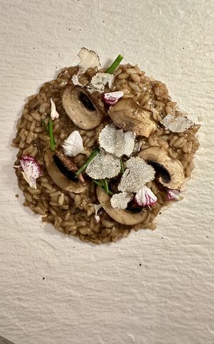 Mushroom risotto with shaved trufflees  at MUDRA Plant Based  in Madrid