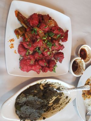  at Sajna Indian Cuisine in Hollywood