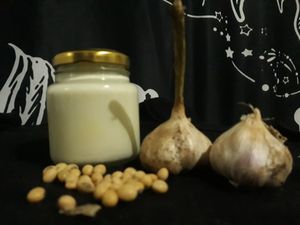 vegan garlic sauce, and more!! at Las Veganas in Medellin