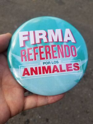  at Las Veganas in Medellin