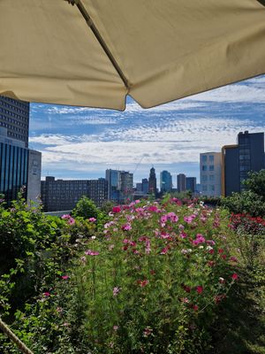  at TEDS in Rotterdam