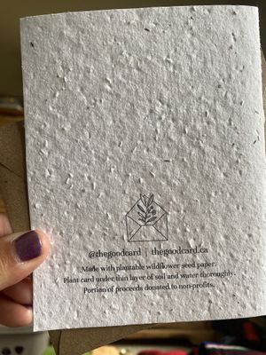 @thegoodcard - always make sure wildflowers are native to wherever you are planting to ensure we aren’t introducing invasive species to places they don’t belong in. 💕🫶 at Ethikli in Long Beach