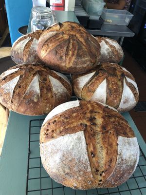 Everyday fresh  bread - made by the owner lalo - so good! at Baraka in Bacalar