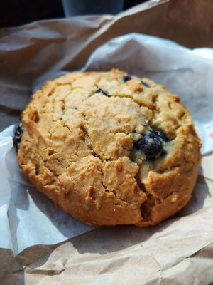 Lemon Blueberry Scone (sugar free and vegan) at Cinnamon Works in Seattle