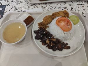 Rice with faux meet and broth at Nyonya Vege in Kuala Lumpur