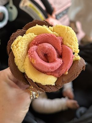   at Amorino in Mexico City