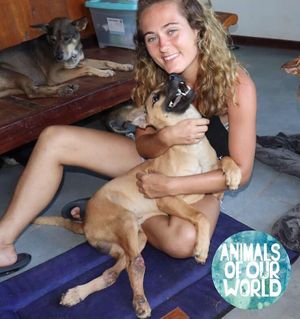   at Animals Of Our World Sanctuary in Siem Reap