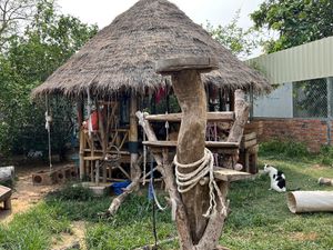 Where the cats live   at Animals Of Our World Sanctuary in Siem Reap