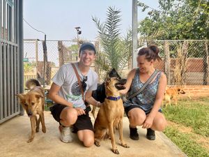 Being with the dogs   at Animals Of Our World Sanctuary in Siem Reap