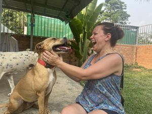 Lovely dogs   at Animals Of Our World Sanctuary in Siem Reap