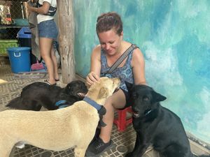 Not enough hands   at Animals Of Our World Sanctuary in Siem Reap