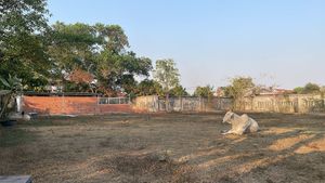  at Animals Of Our World Sanctuary in Siem Reap