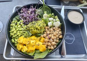 Delicious buddha bowl  at Ellies in Mayrhofen