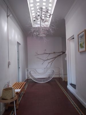 Interior at Glück in Oaxaca