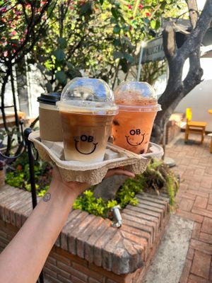 Different kinds of drinks :) at Oscuro Brebaje in Oaxaca